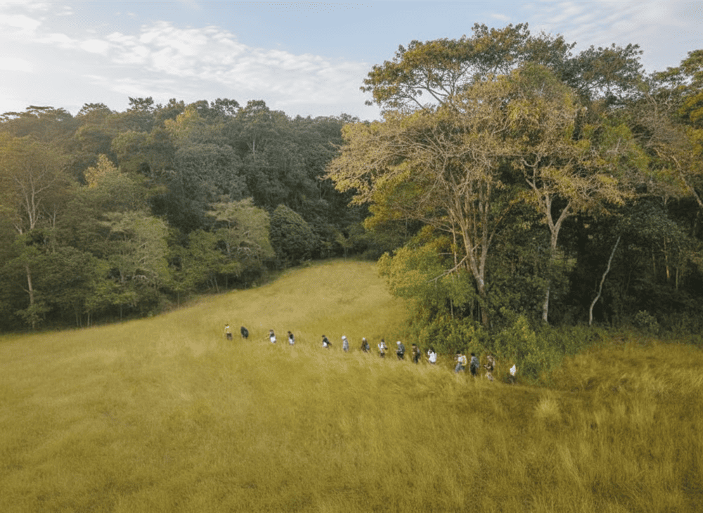 Trekking xuyên rừng tại Vườn Quốc gia Lò Gò - Xa Mát